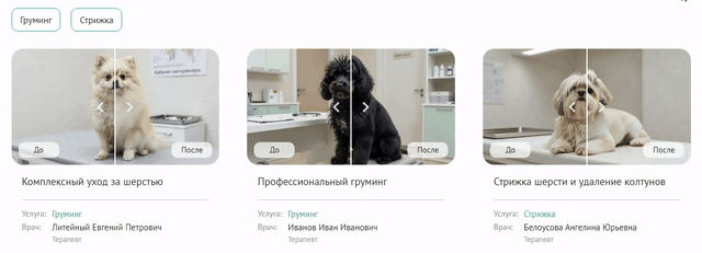 ZEBRA.VET – Ветеринарная клиника ZEBRA.VET – Ветеринарная клиника
